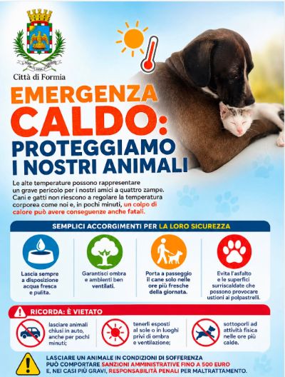 Emergenza caldo animali