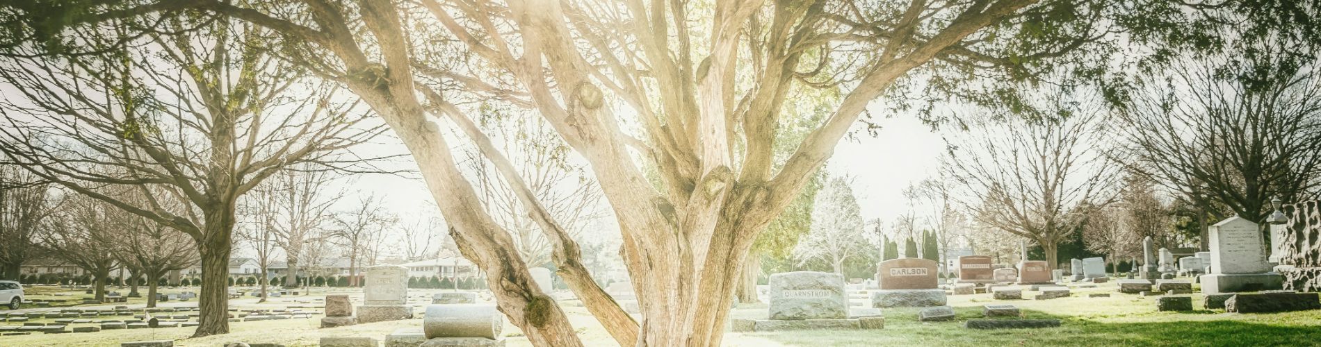 Cimitero di Castagneto