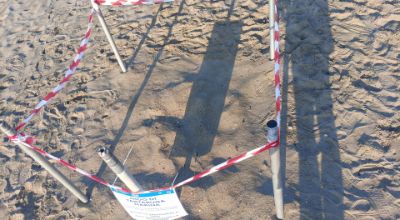 Il nido scoperto a Formia