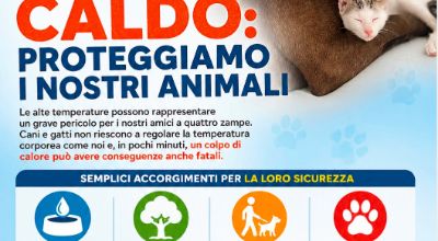 Emergenza caldo animali